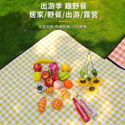 野餐垫户外郊游防潮垫加厚防水便携婴儿爬爬垫公园露营布春游