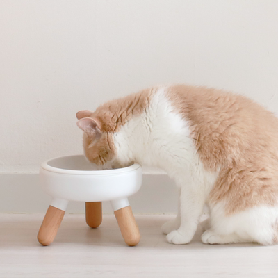 实木桌[]新品宠物陶瓷碗实