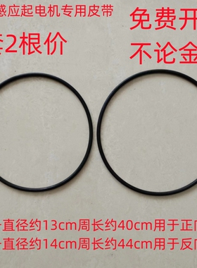 J2310 23018静电感应起电机用皮带实验室用物理教学仪器1套2根价