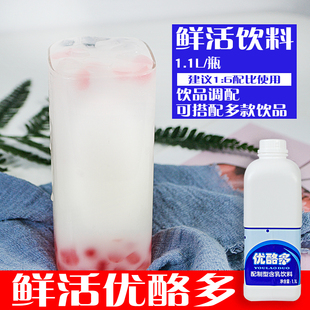 鲜活原味优酪多原浆奶茶专用浓缩乳酸菌饮品益菌多原味优格乳1.1L