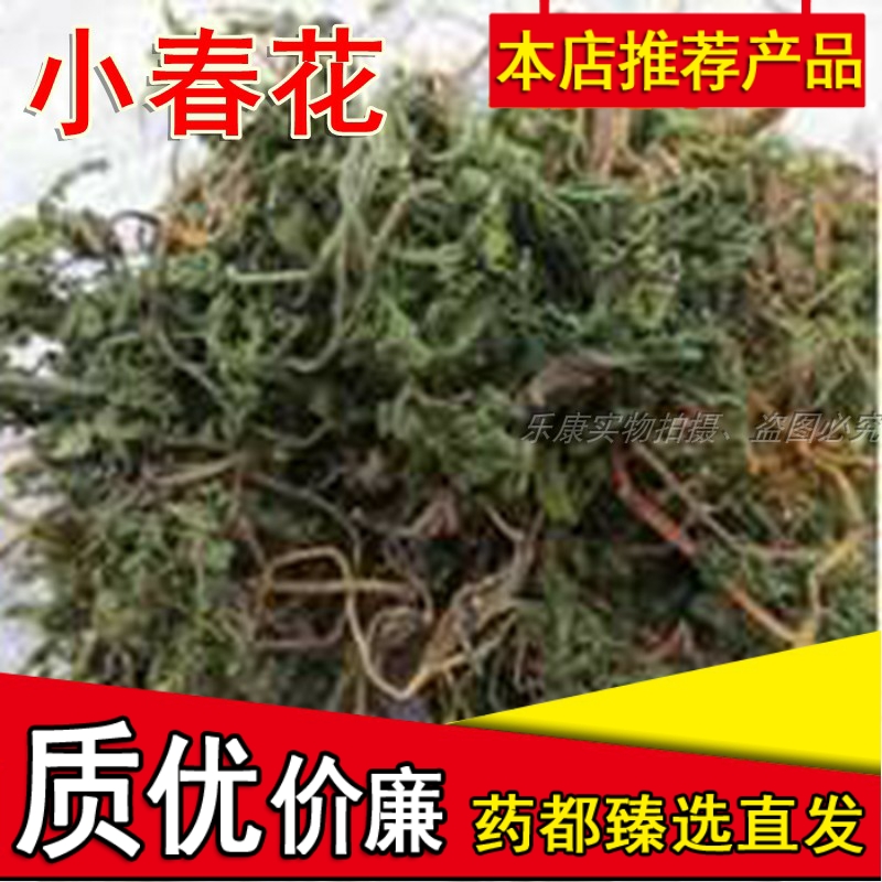 一朵云蛇不见中草药材小春花