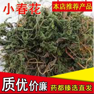 现货小春花一朵云阴地蕨蛇不见独脚金鸡阴地厥中草药材500g克包邮