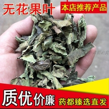 无花果叶子精选特级新鲜现货无花果树干叶子中药材泡茶500g克包邮