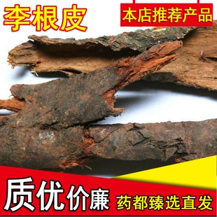 李根皮 精选优质李根 现货李根白皮 甘李根白皮500克包邮正宗药材