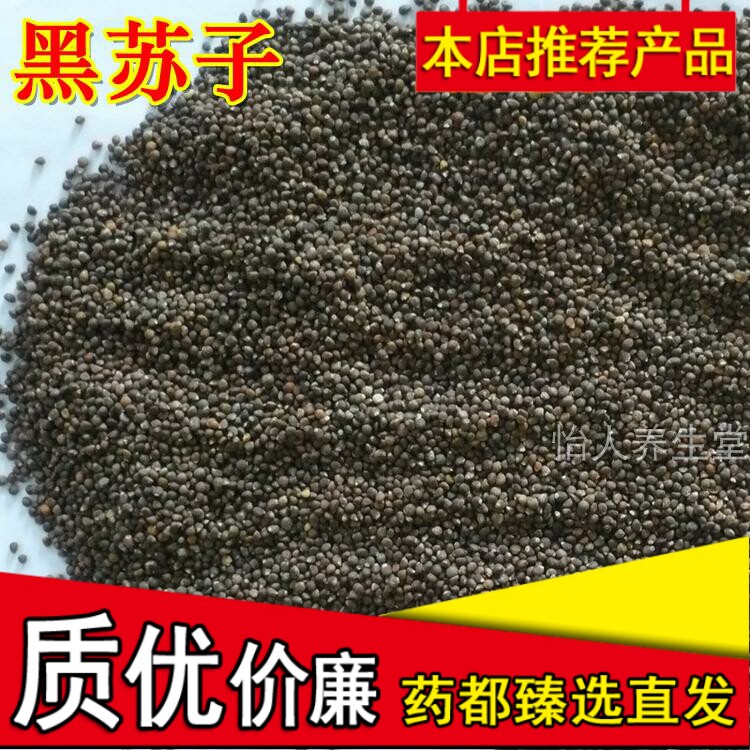 黑苏子生黑苏子种子精选优质特级黑苏籽东北苏子可磨粉500g克包邮