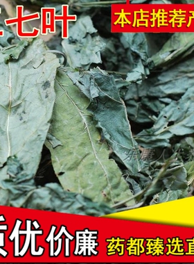 三七叶子云南文山优质新鲜三七干叶茶现货田七干叶中药材500g包邮