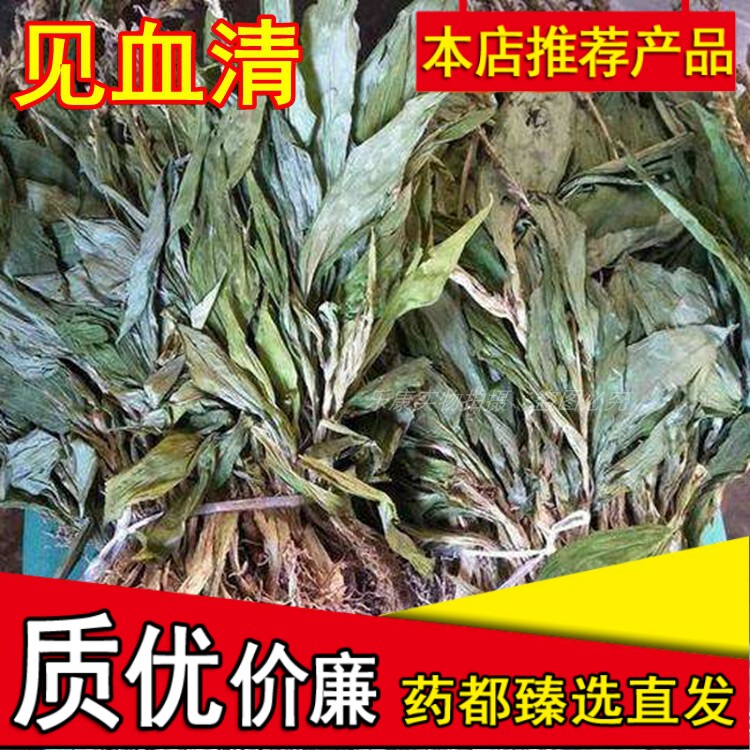 水洗货见血清三角枫羊耳兰特价见血清倒岩提500g包邮正品中药材