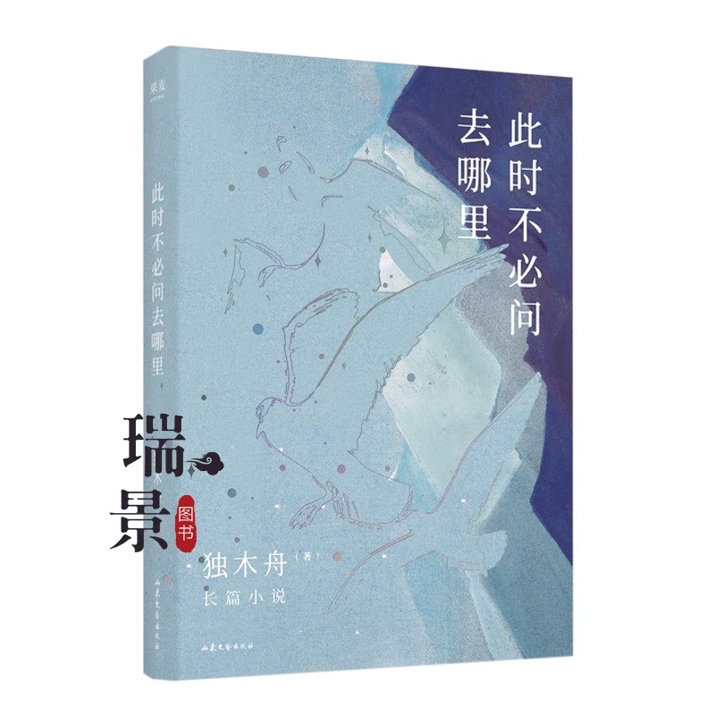 此时不必问去哪里 独木舟长篇小说  关于爱情 关于事业关于未来依旧