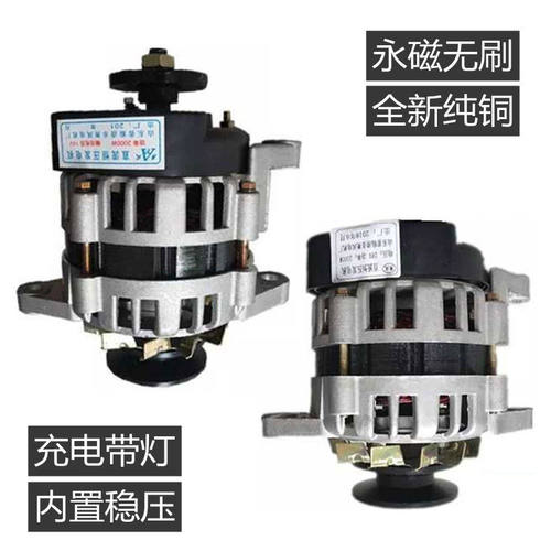 纯铜农用车三轮车四轮拖拉机充电带灯12V24V永磁交直流发电机包邮