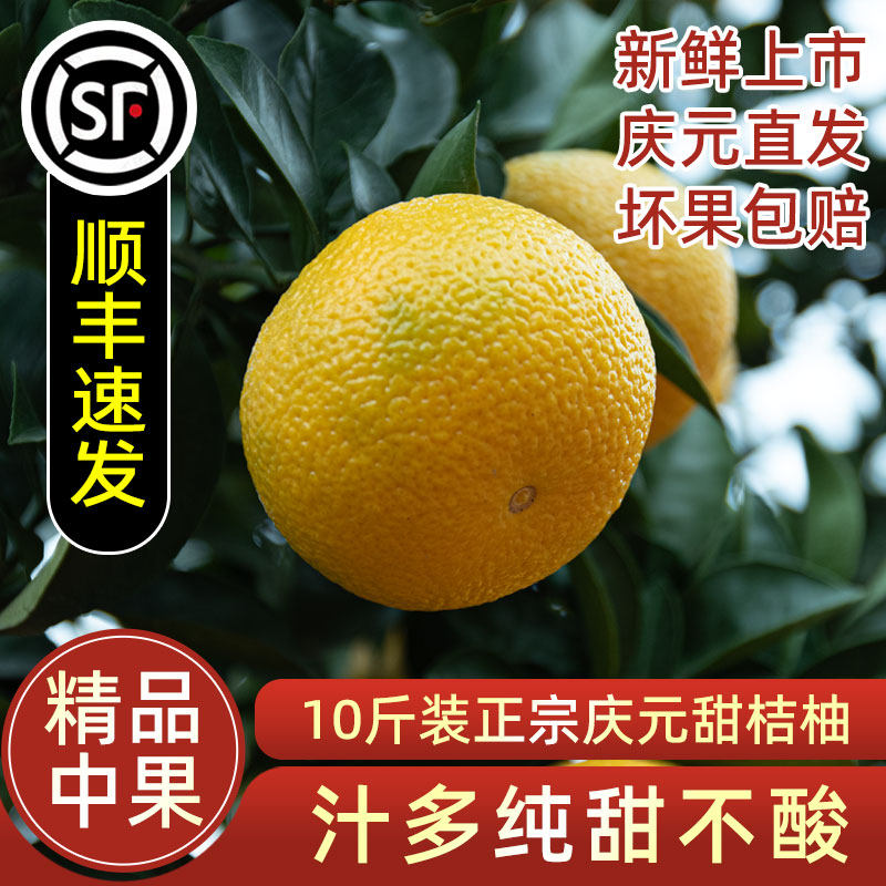 正宗庆元甜桔柚甜橘柚香甜多汁10斤礼盒比建阳桔柚好（精品中果）,水产肉类/新鲜蔬果/熟食,柚子,淘宝优惠券,粉丝福利购,淘宝优惠卷