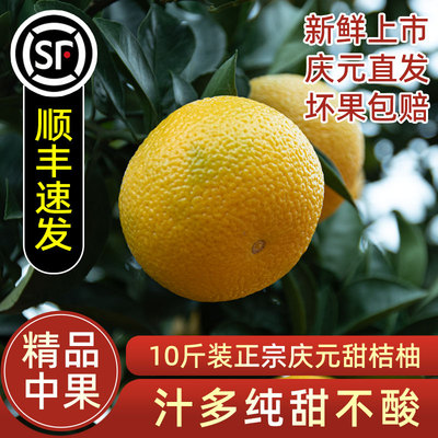 正宗庆元甜桔柚甜橘柚香甜多汁10斤礼盒比建阳桔柚好（精品中果）