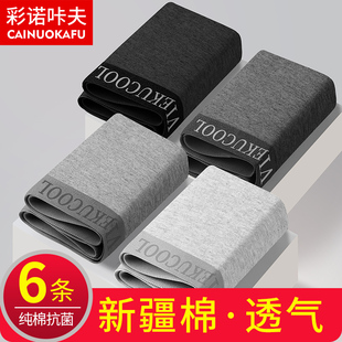 衩男底裤 抗菌四角短裤 头青少年2024夏季 新款 纯棉男士 平角短裤 内裤