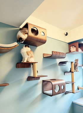 设计师「猫房间猫墙定制」墙壁式组合猫爬架家用大肥猫专用不占地
