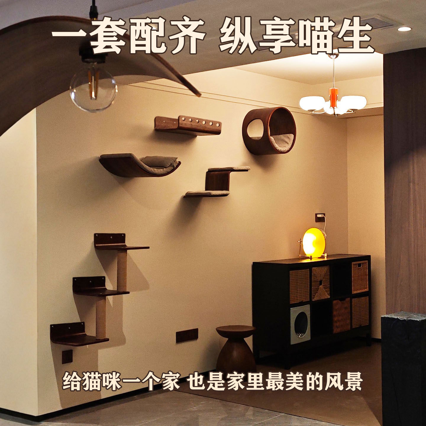 养三只猫的设计师「客厅猫墙」上猫爬架