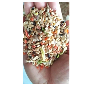 鹦鹉饲料无壳粮中小型鹦鹉太金阳尚和太小阳历压山大虎皮牡丹鸟食