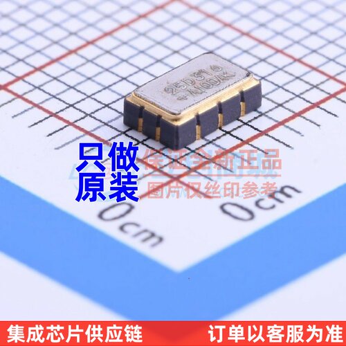 定时器/计时器 DS4125D+ LCCC-10(3.2x5) MAXIM(美信) 电子元器件