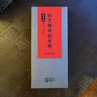 【新品】2024向天梅 武夷岩茶 乌龙茶8.3g