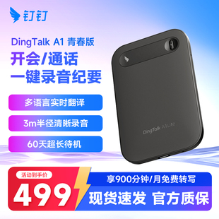 钉钉A1 DingTalk AI青春款智能录音笔 会议纪要 分析总结实时转写