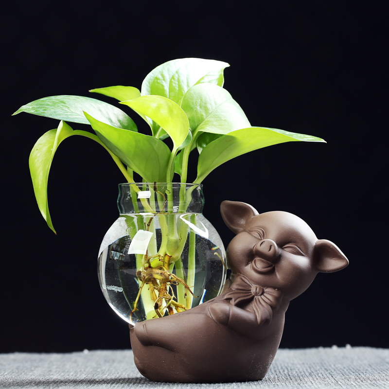 可爱小猪摆件迷你小花瓶玻璃透明水培养绿萝创意家居陶瓷装饰摆件