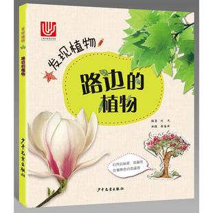 9787558902109 正版 彩图版 植物 少年儿童 发现植物系列：路边