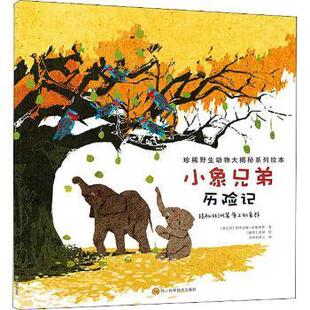 珍稀野生动物大揭秘系列绘本：小象兄弟历险记·揭秘草原上 9787572702570 象群 绘本 四川科学技术 平装 正版