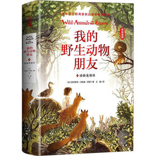 动物英雄传 野生动物朋友.3 原版 插图 山东教育 正版 9787570110803 儿童小说：我