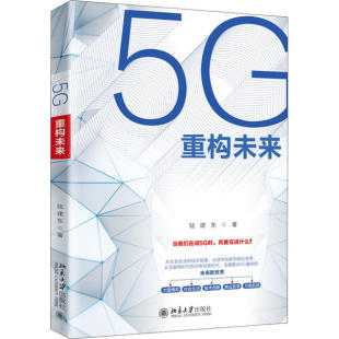 北京大学 9787301168431 正版 5G重构未来