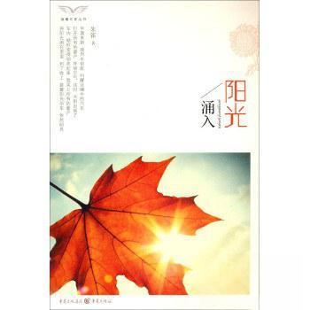 【正版包邮】阳光涌入 9787229072261 重庆出版社