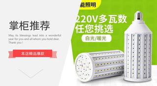 led玉米灯泡玉米灯仓库灯110v220v节能灯 lamp 欧式灯云石灯光源