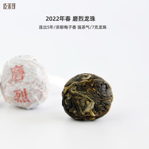 吃茶哥临沧茶区浓郁梅子香强茶气