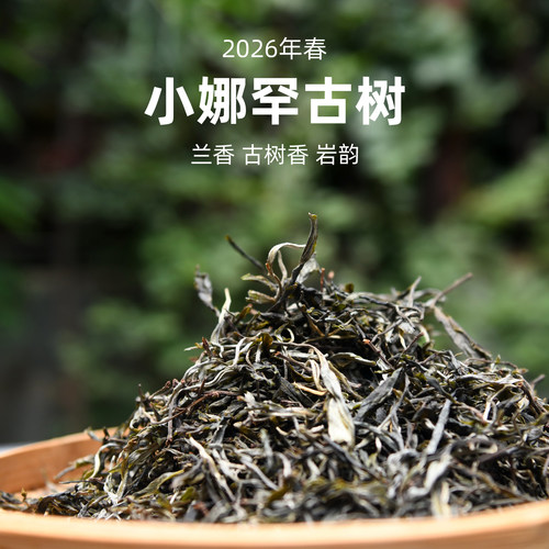 吃茶哥2026小娜罕古树散茶