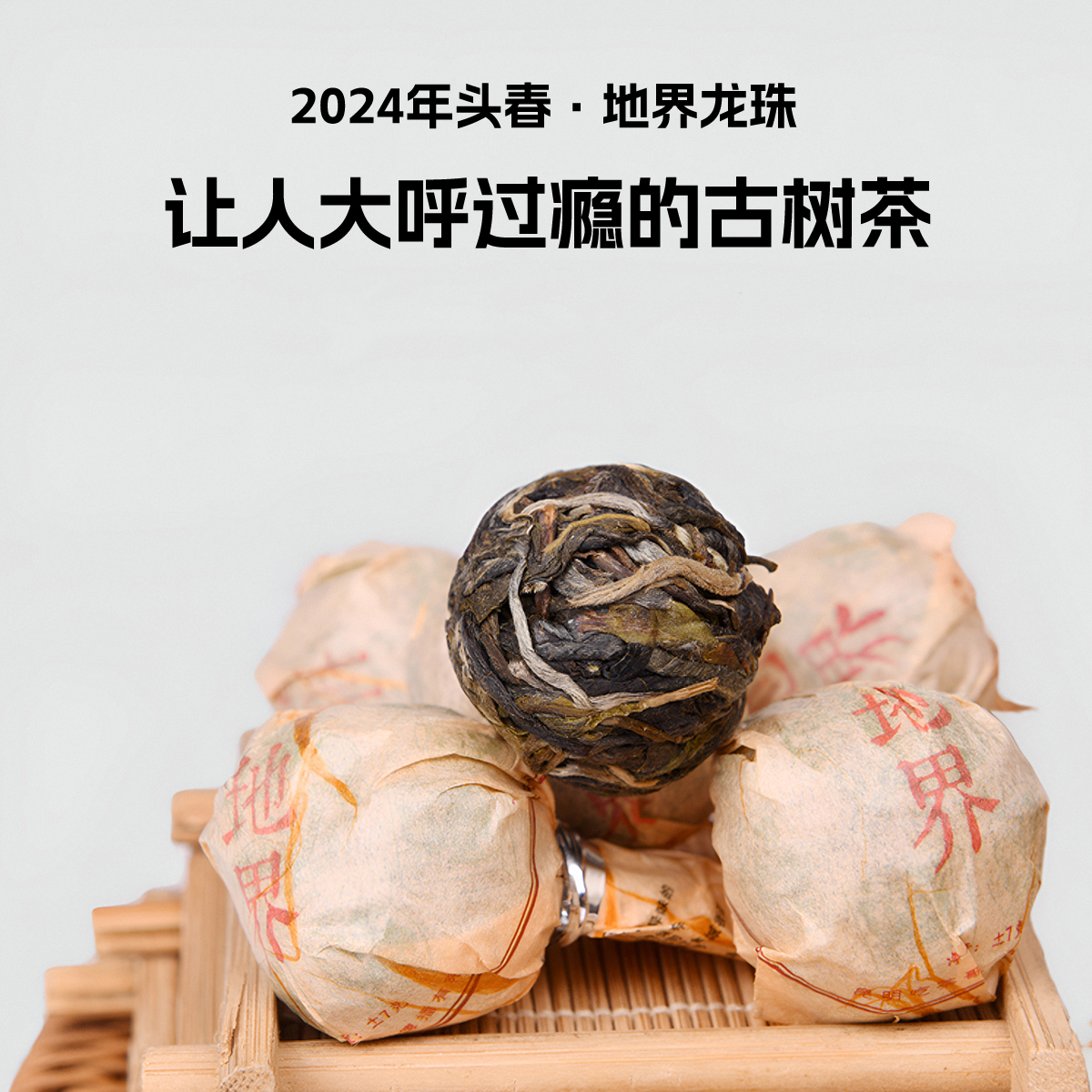 吃茶哥头春古树勐库地界龙珠