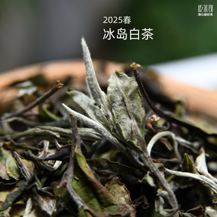 2025年春 冰岛白茶 勐库正气塘古树明前头采白茶 100克装
