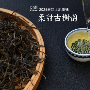 2025年春茶 小户赛红土地古树单株 普洱生茶 100克散茶 晒青