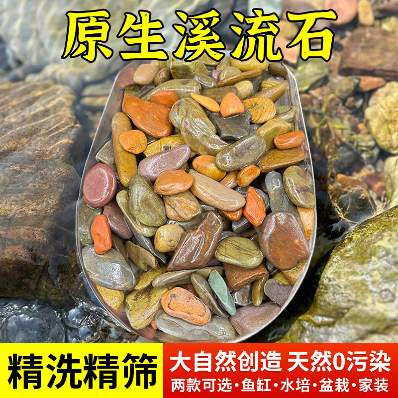 溪流沙鱼缸底沙龟缸造景天然原生溪流石砂水草缸雷龙鱼乌龟造景