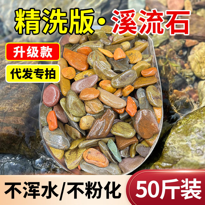 原生溪流沙造景鱼缸底沙龟缸天然溪流石砂水草缸雷龙鱼乌龟造景