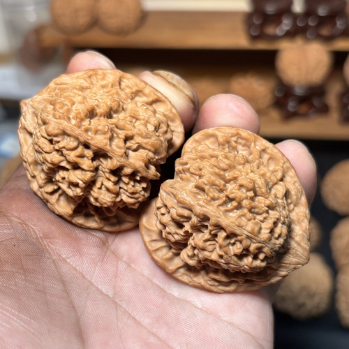 货头对满天星狮子头边45肚41高45尺全品无修一物一图百花山