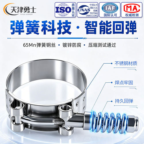 天津宝成304不锈钢T型弹簧喉箍