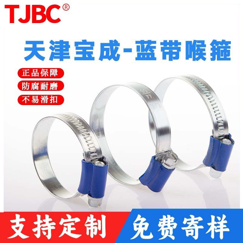 TJBC蓝带卡箍镀锌非不锈钢蓝头喉箍水管夹抱箍喉扎蓝带碳钢喉箍