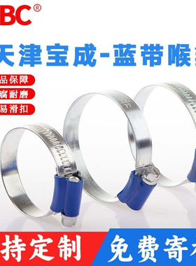 TJBC蓝带卡箍镀锌非不锈钢蓝头喉箍水管夹抱箍喉扎蓝带碳钢喉箍