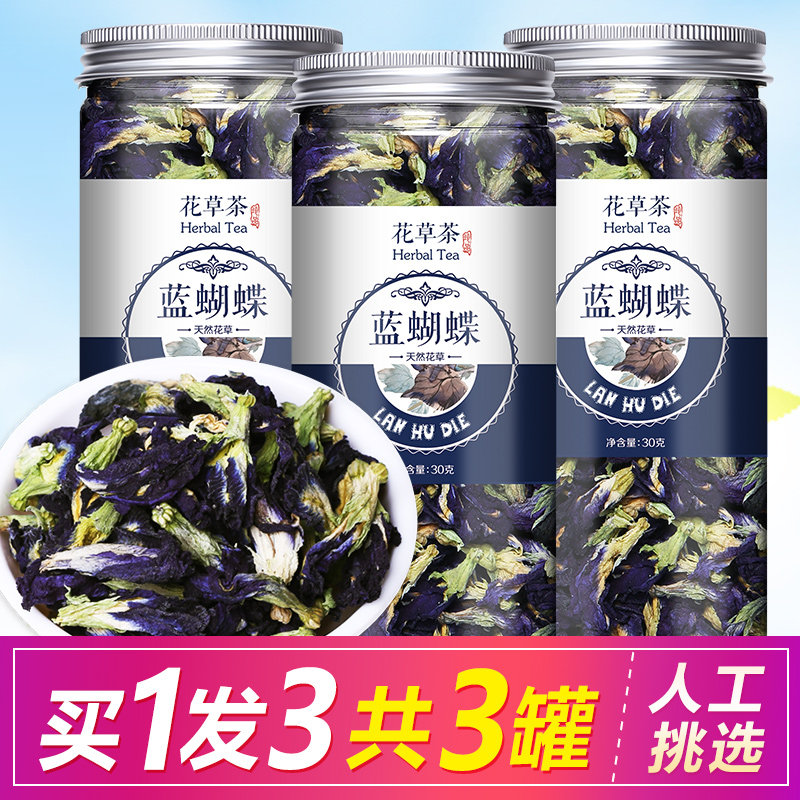 蓝豆花价格 蓝豆花图片 星期三