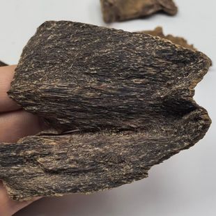 【天然野】海南霸王岭下乡大山软黑油马蹄香小老铁头野生沉香17克