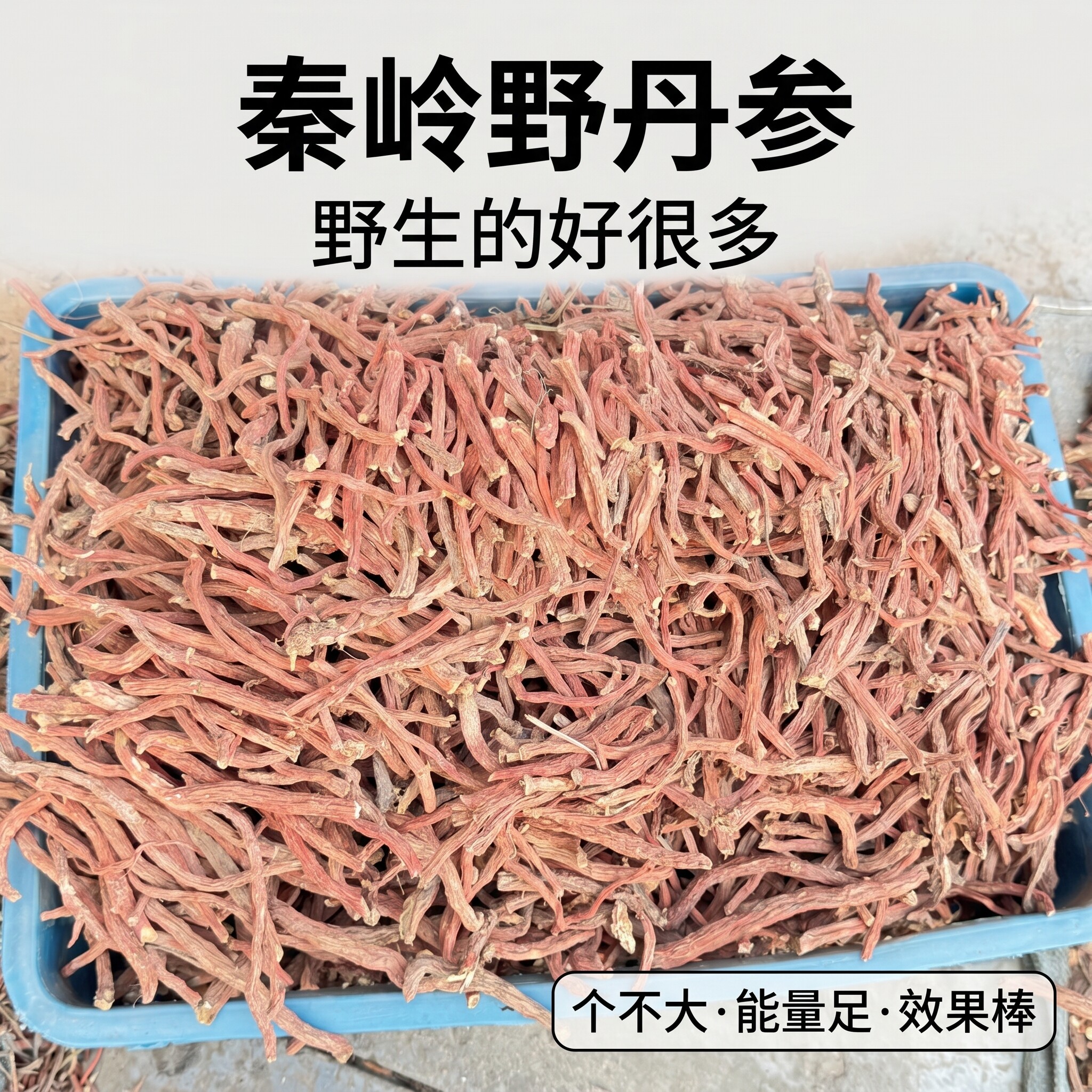 正宗秦岭野生丹参中药材