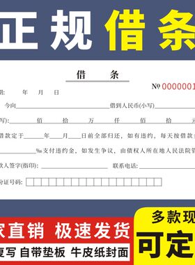 借条定做二联民间个人正规