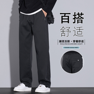 2025新款秋天裤子男款休闲裤高级感长裤百搭轻奢直筒裤K6661-P50图片