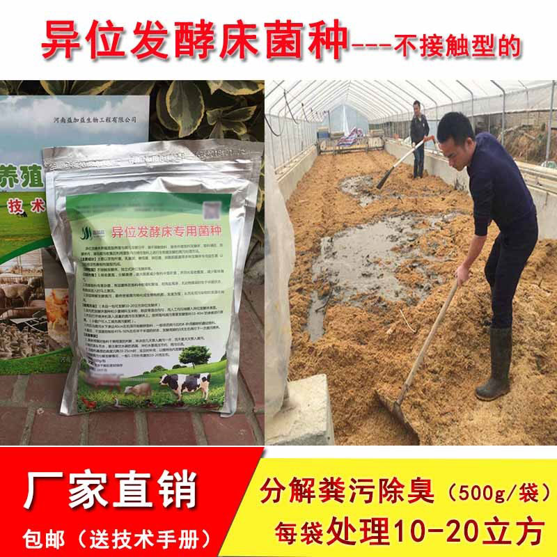 发酵床猪粪除臭分解阳台菌种