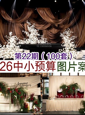 2026中小预算咖色韩式白色香槟色小众布幔婚礼图片案例资料
