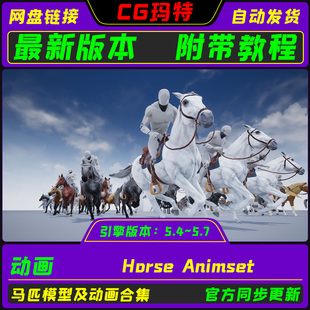 虚幻UE5.4-5.7 Horse Animset 马匹角色模型和动画合集
