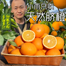11年小雨家 湖南溆浦脐橙新鲜超甜爆汁纽荷尔礼盒不打蜡不打甜蜜