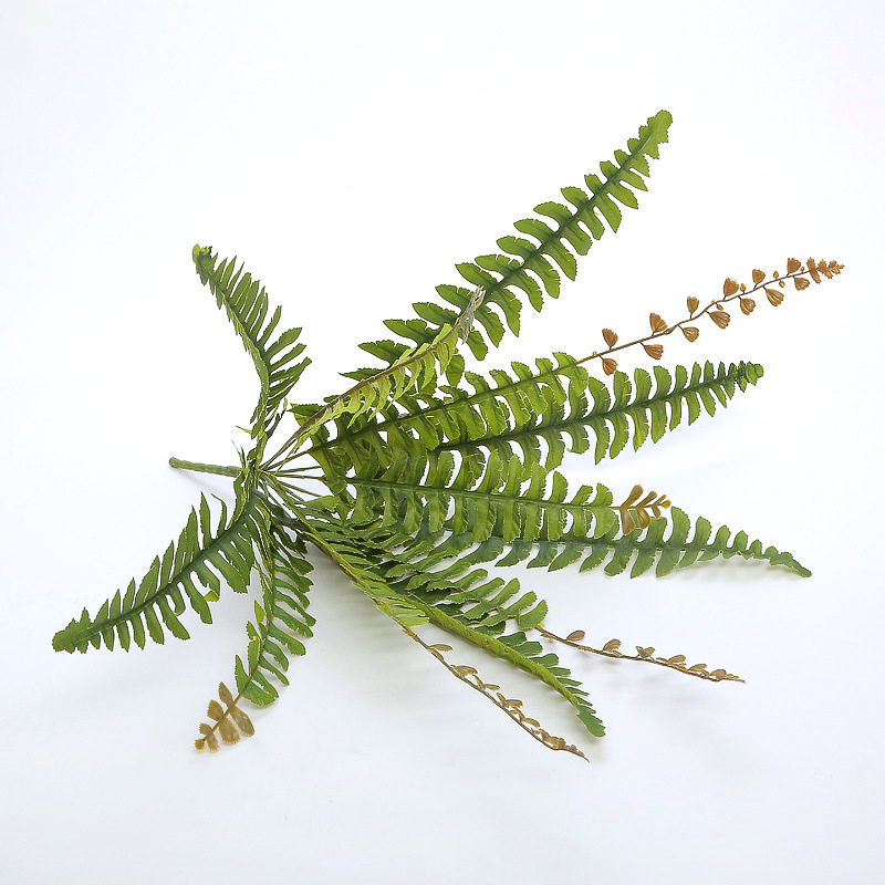 仿真植物墙绿植墙婚庆装饰花艺珊栏插花蕨类叶子12叉凤尾蕨孔雀叶